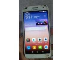 Huawei Ascend.