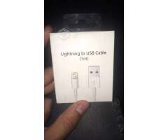 Cable iPhone - Coihaique