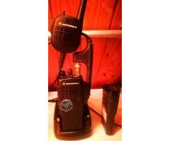 Equipo portÃ¡til Motorola modelo PRO5150 mejorado - Talca