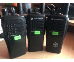 Motorola pro5150 - Coquimbo