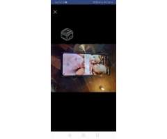 Huawei p30 normal (no el lite) - Lota